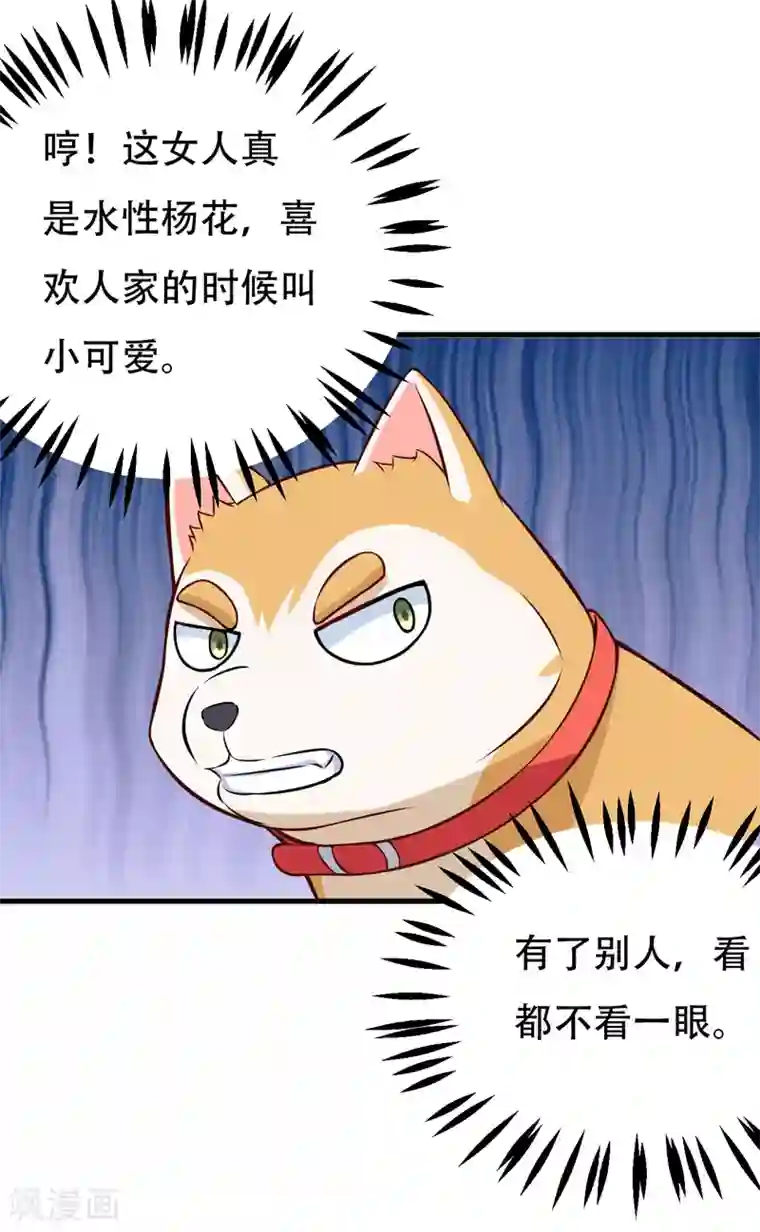 在下铲屎官：喵王在上第85话 逮到你们了！