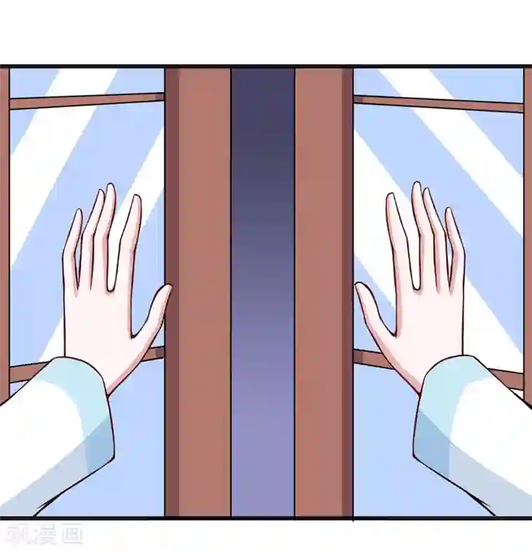 在下铲屎官：喵王在上第87话 失踪