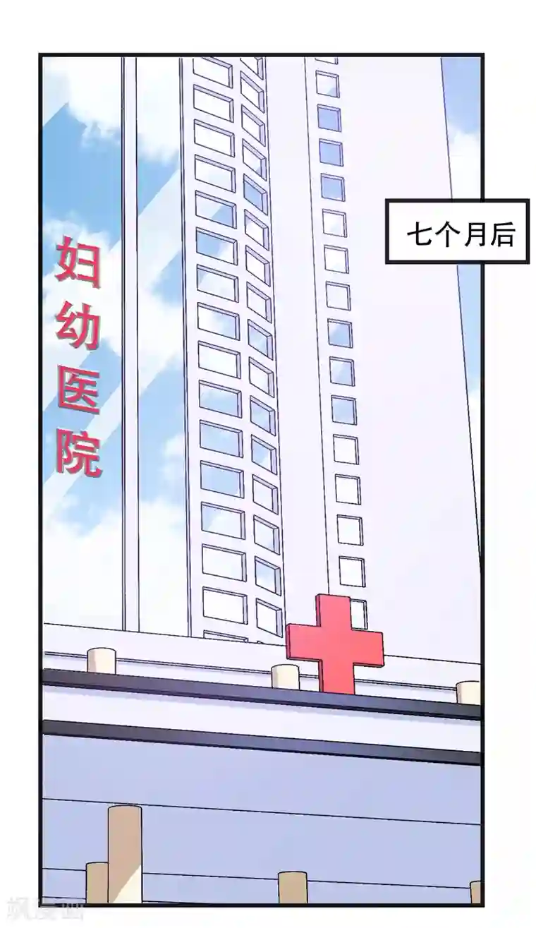 在下铲屎官：喵王在上第90话 我们家的宝贝