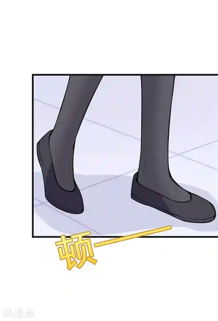 在下铲屎官：喵王在上番外 最后的告白