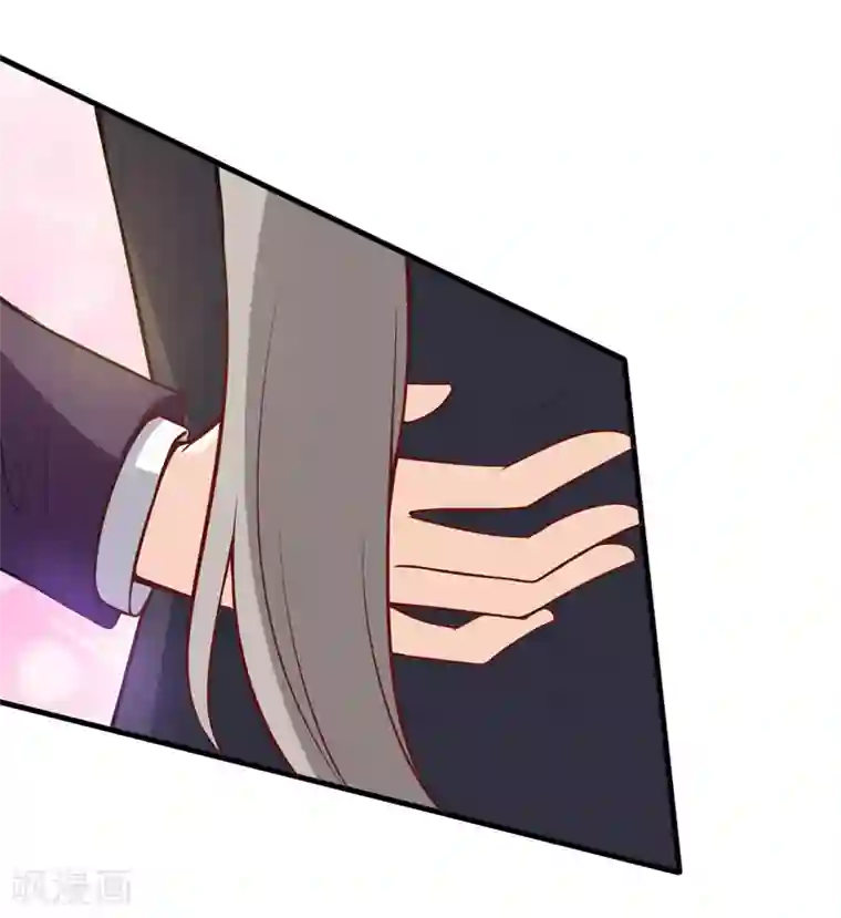 在下铲屎官：喵王在上番外 最后的告白