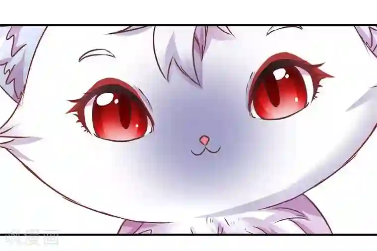 穿越之狐王的专宠第3话 马上洞房吧