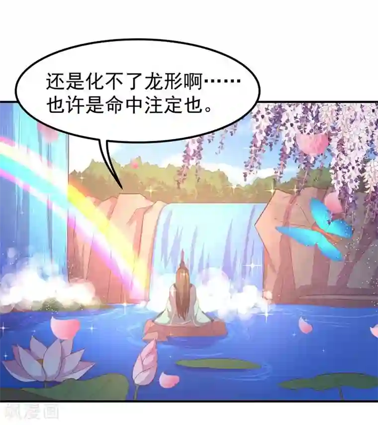 穿越之狐王的专宠第7话 狐王修仙