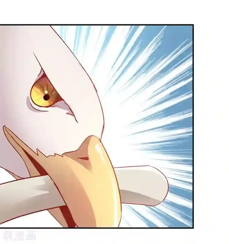 穿越之狐王的专宠第12话 碰瓷