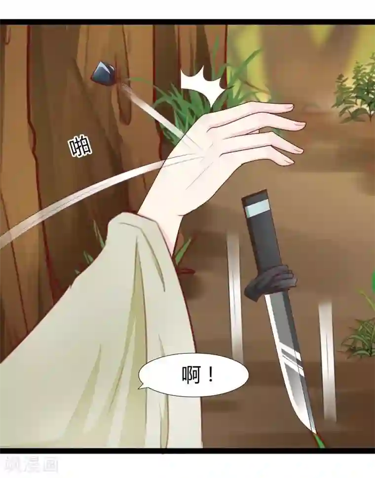 穿越之狐王的专宠第23话 失败的报复
