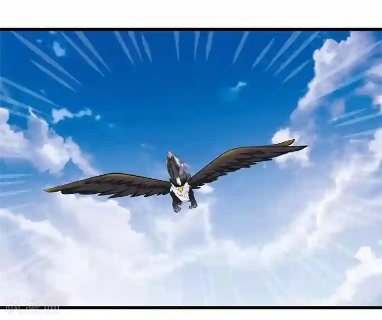 穿越之狐王的专宠第25话 追女秘籍