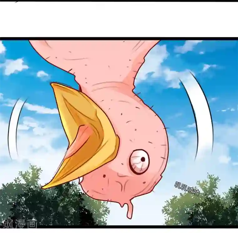 穿越之狐王的专宠第35话 别打她的主意