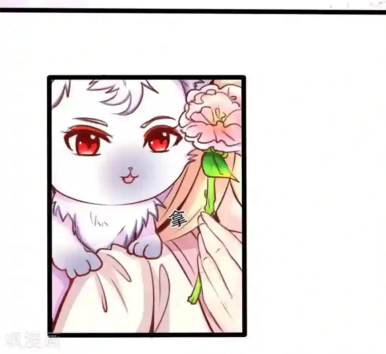 穿越之狐王的专宠第42话 关于地球