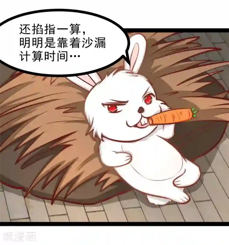 穿越之狐王的专宠第51话 参赛