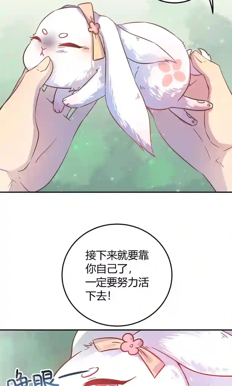 王爷的小兔妖第6话 终于找到你了，穆北！