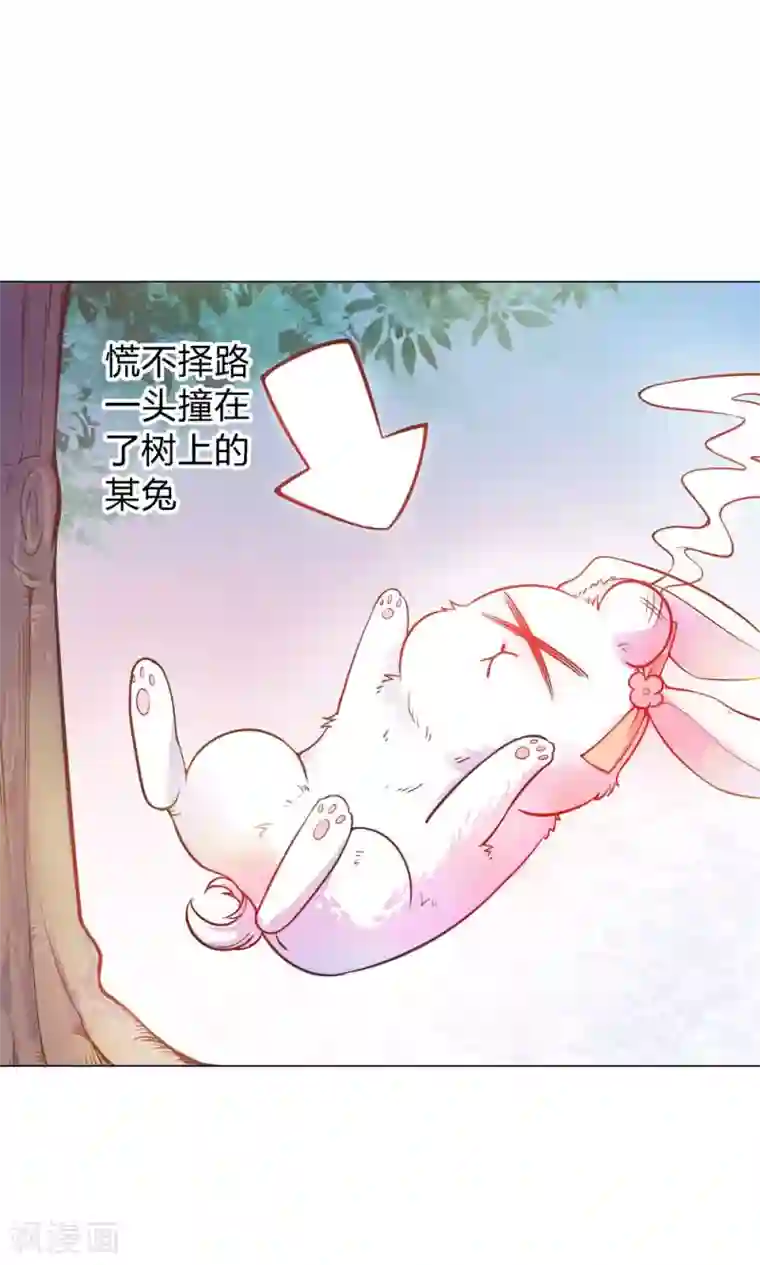 王爷的小兔妖第9话 兔子蹬山，了解一下。