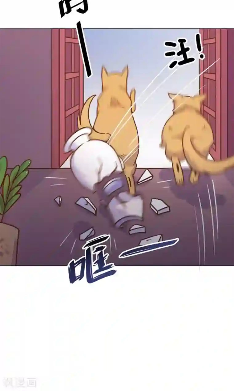 王爷的小兔妖第20话 你的事，只能由我一人操心