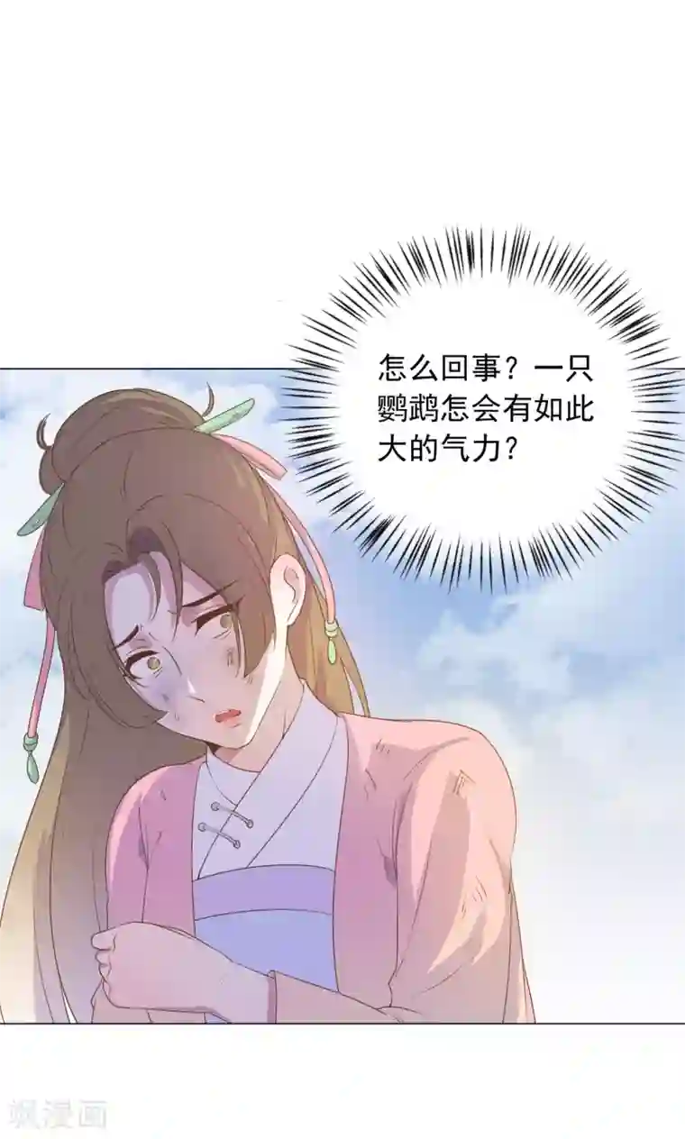 王爷的小兔妖第30话 不能说的秘密