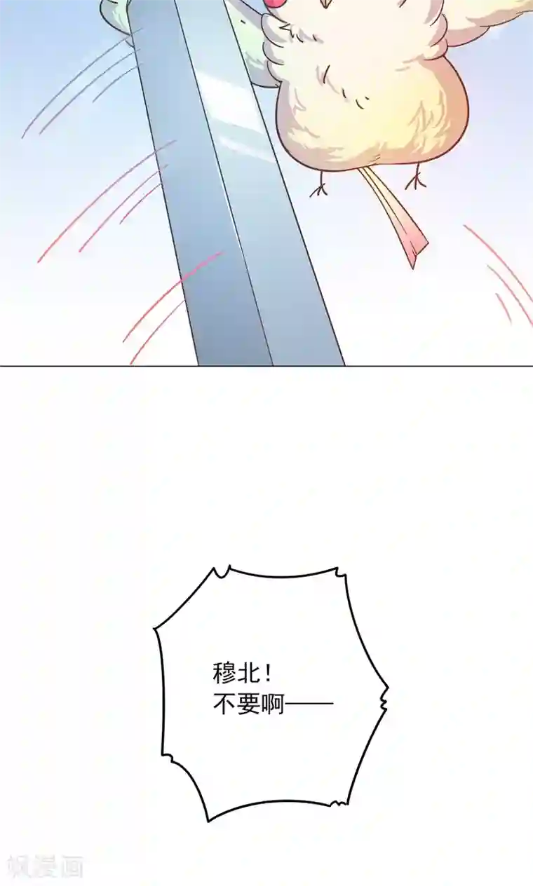 王爷的小兔妖第30话 不能说的秘密