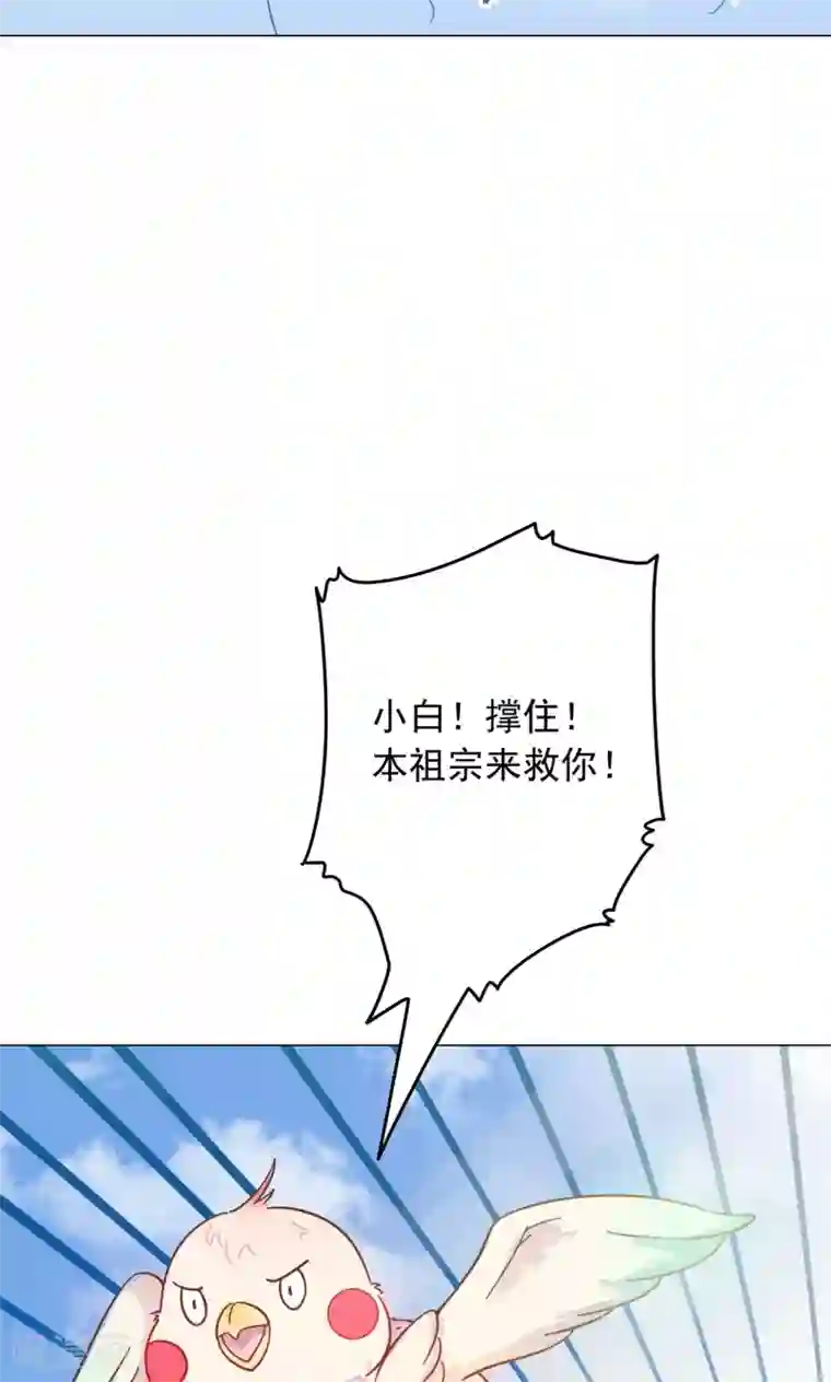 王爷的小兔妖第30话 不能说的秘密
