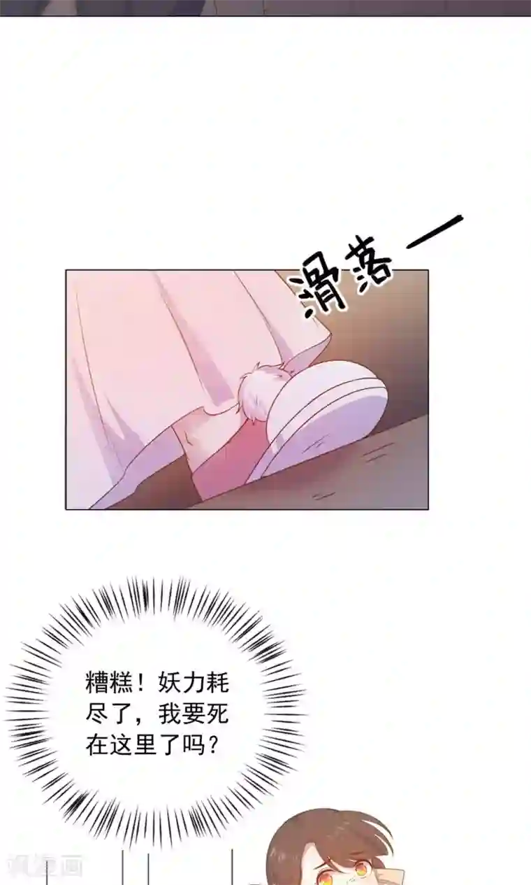 王爷的小兔妖第33话 呀！露出耳朵了。