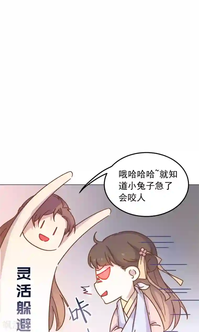 王爷的小兔妖第35话 兄弟相争