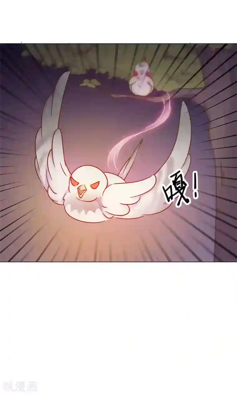 王晓晨漏头gif是哪一集第36话 心动的感觉