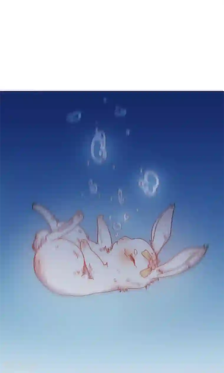 王爷的小兔妖第41话 水中遇险