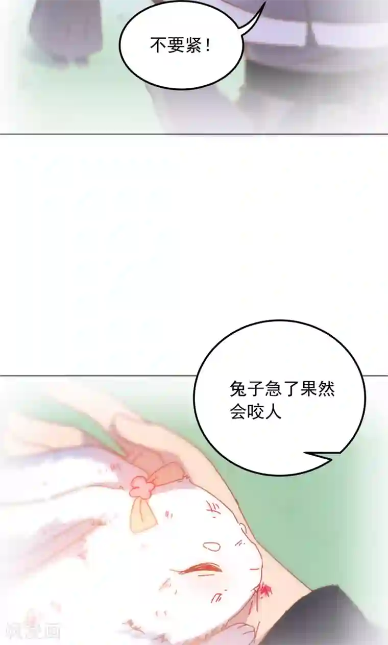 王爷的小兔妖第41话 水中遇险