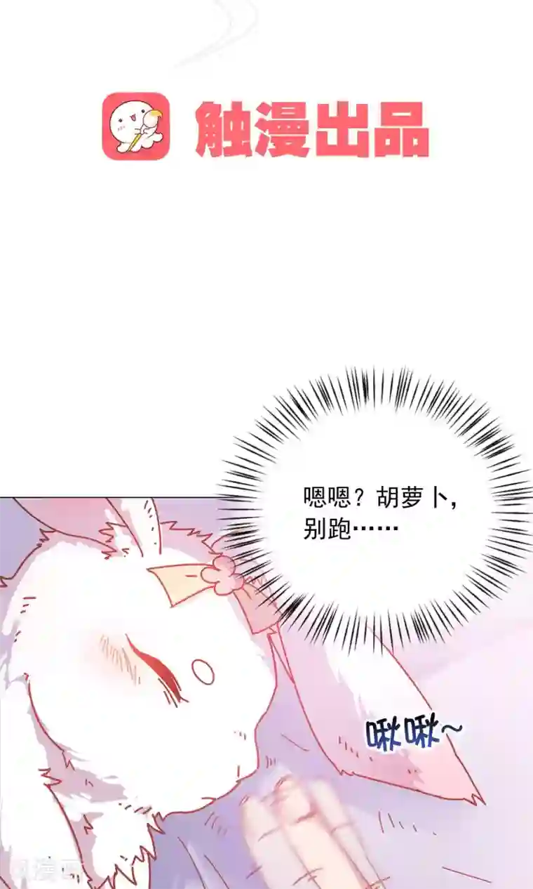 王爷的小兔妖第42话 本王不许你死！