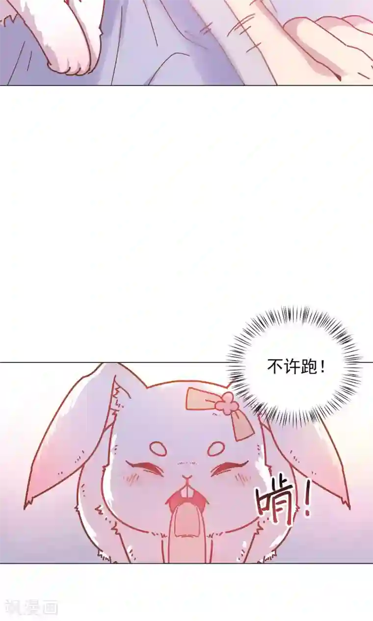 王爷的小兔妖第42话 本王不许你死！