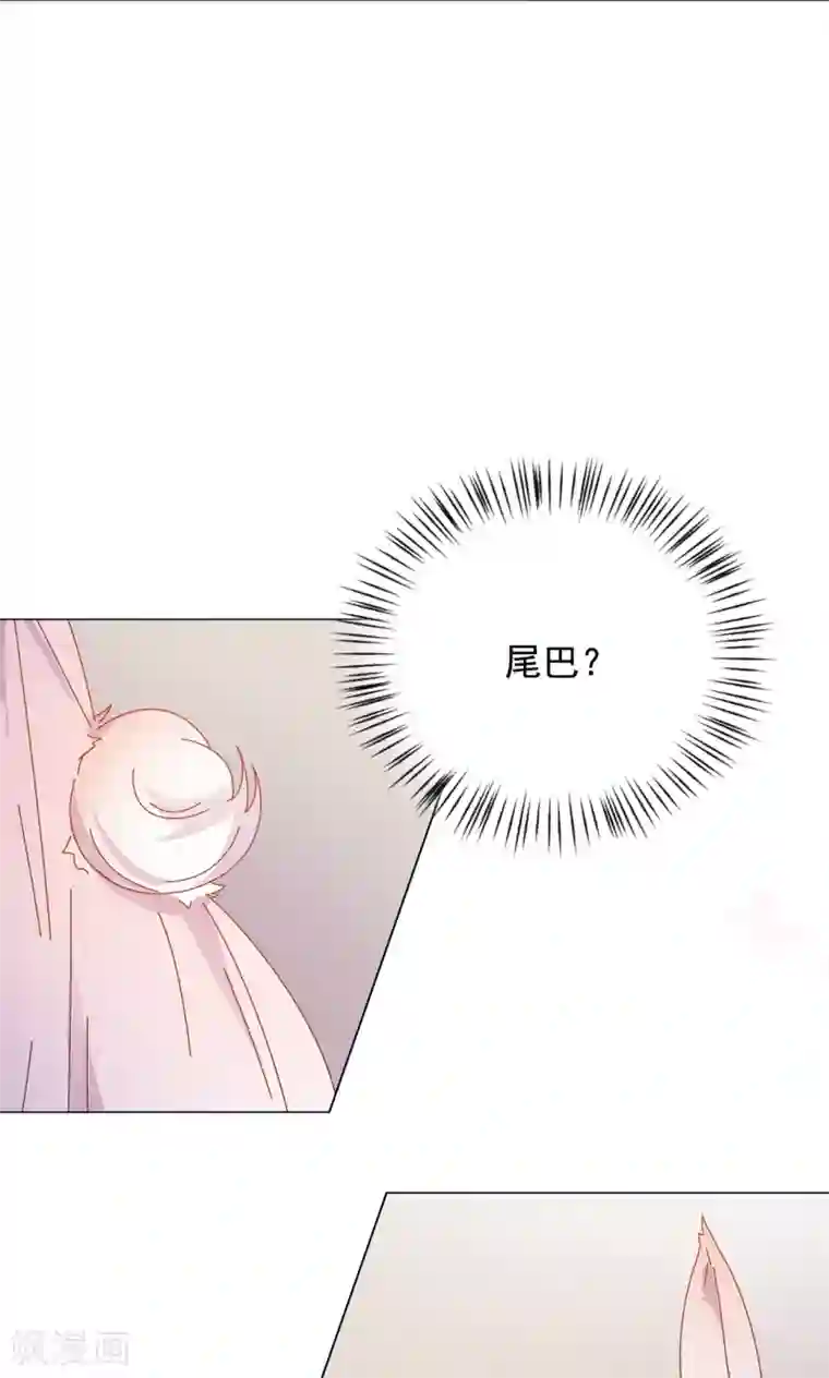 王爷的小兔妖最终话 你绝不能死！