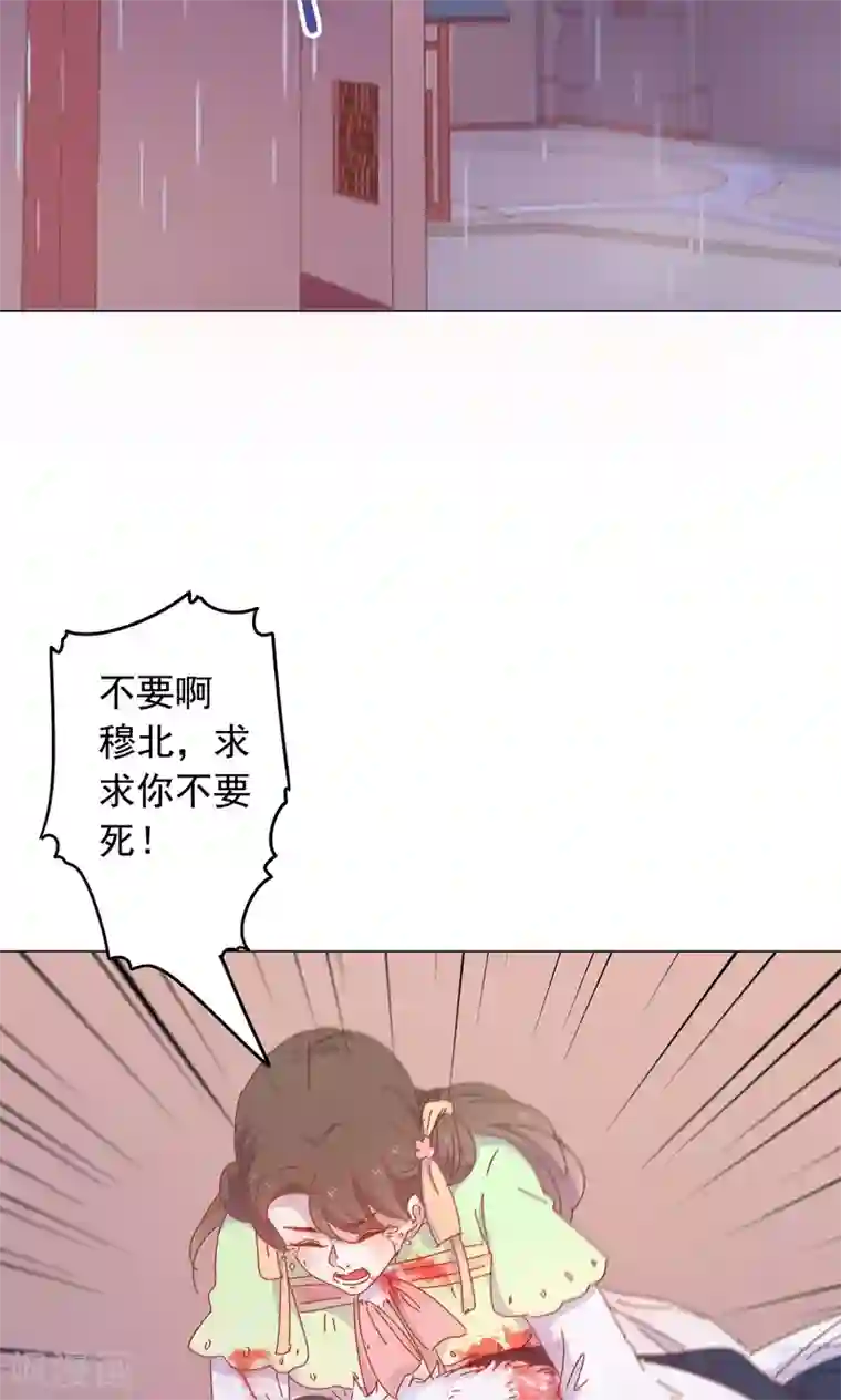 王爷的小兔妖最终话 你绝不能死！