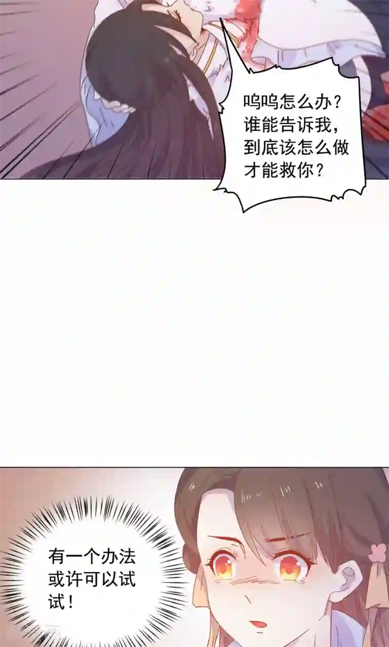 王爷的小兔妖最终话 你绝不能死！