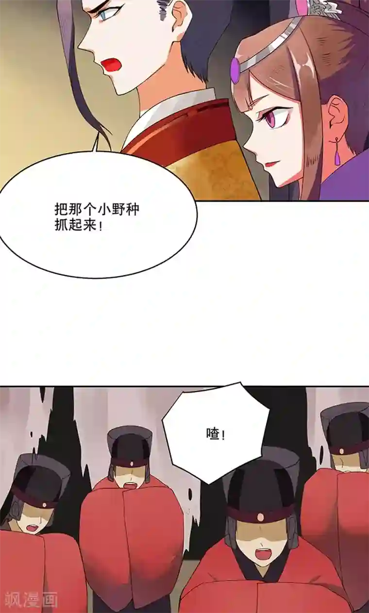 浴血商后：冷夫强宠第1话