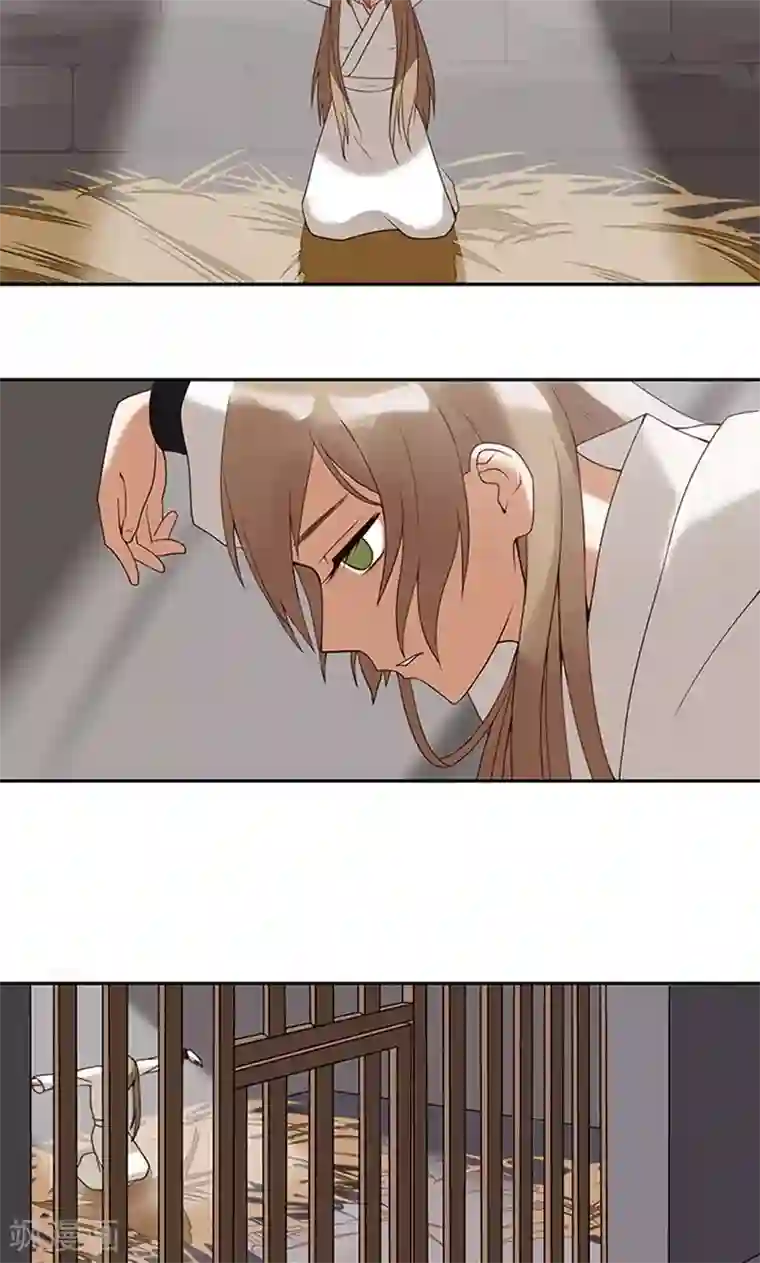 浴血商后：冷夫强宠第1话