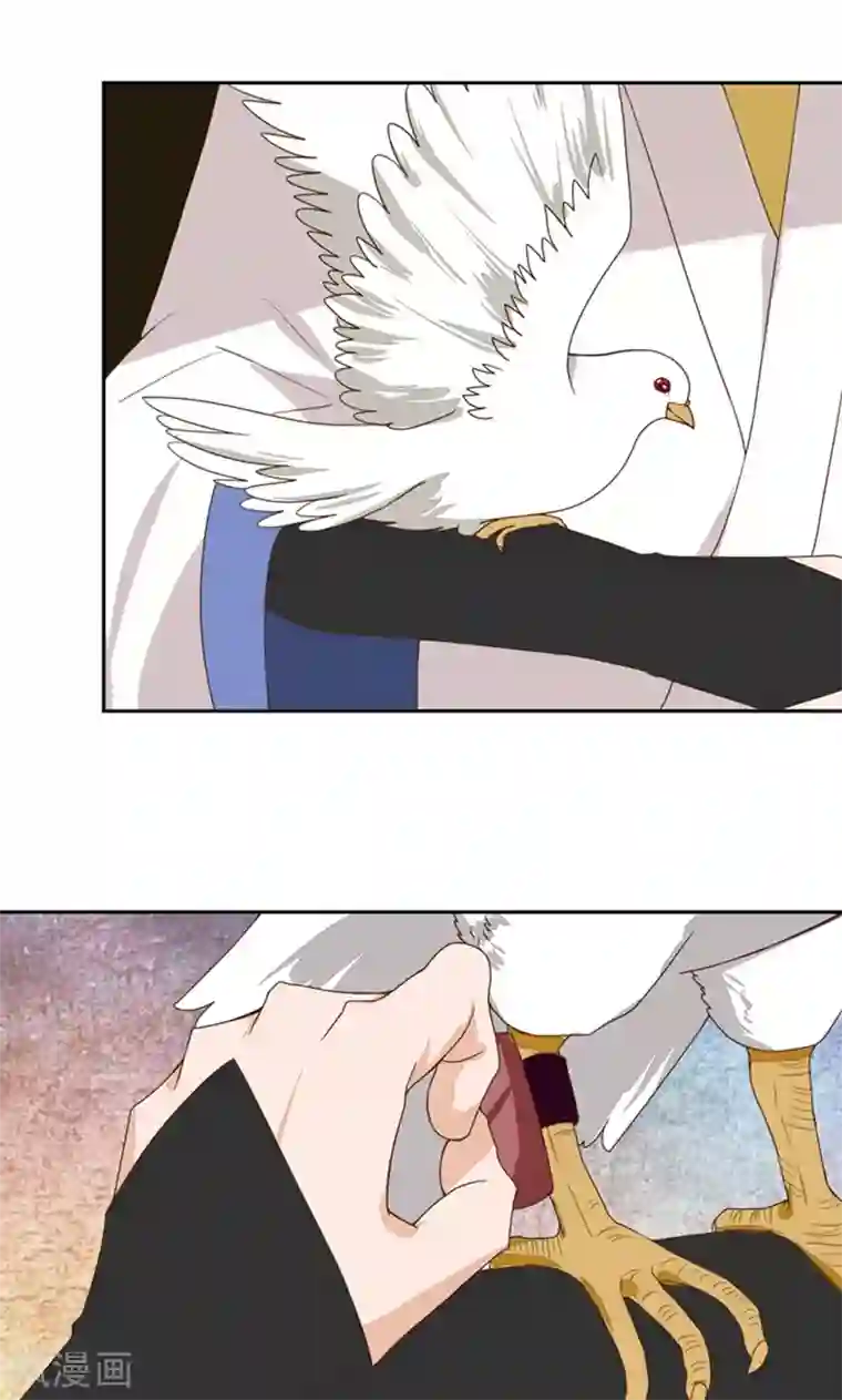 浴血商后：冷夫强宠第28话