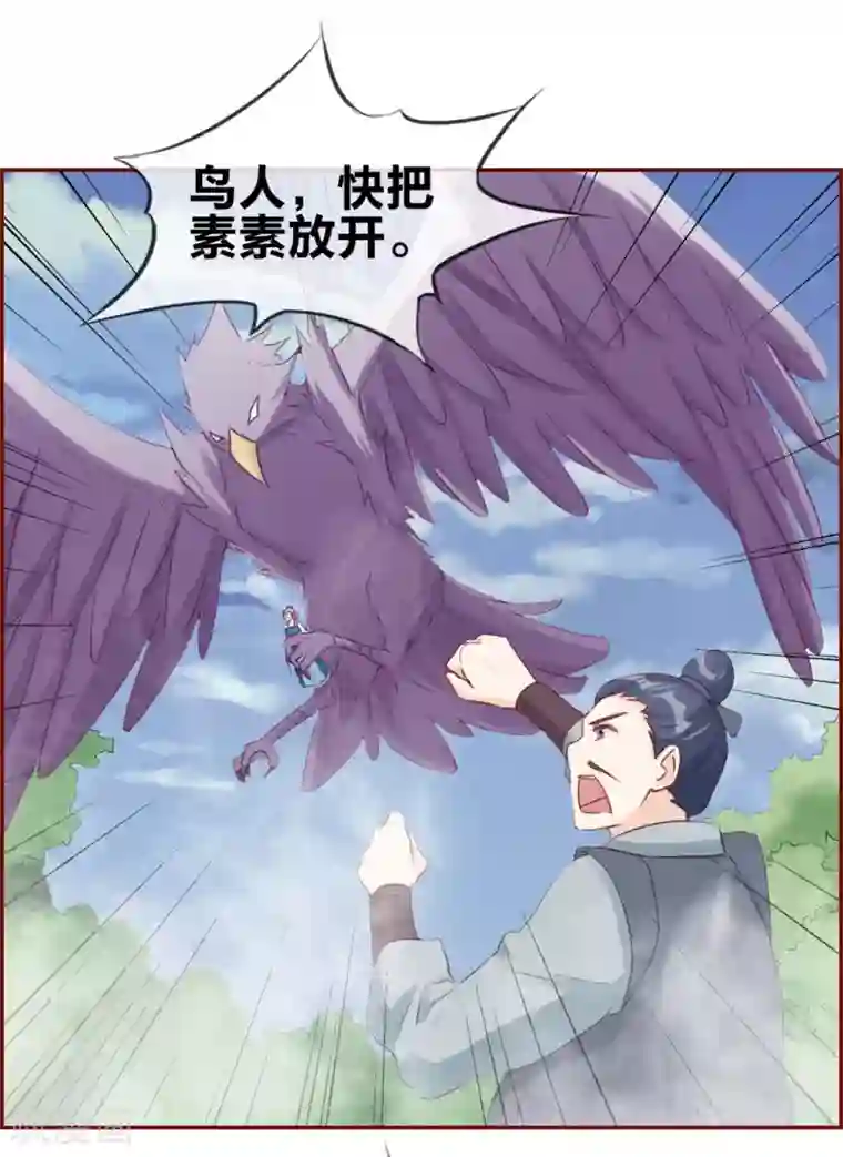 金蹴小说林若菲第39话 放开那个妹子