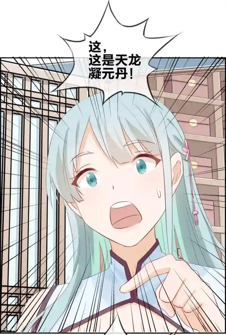 最强纨绔系统第7话 天龙凝元丹