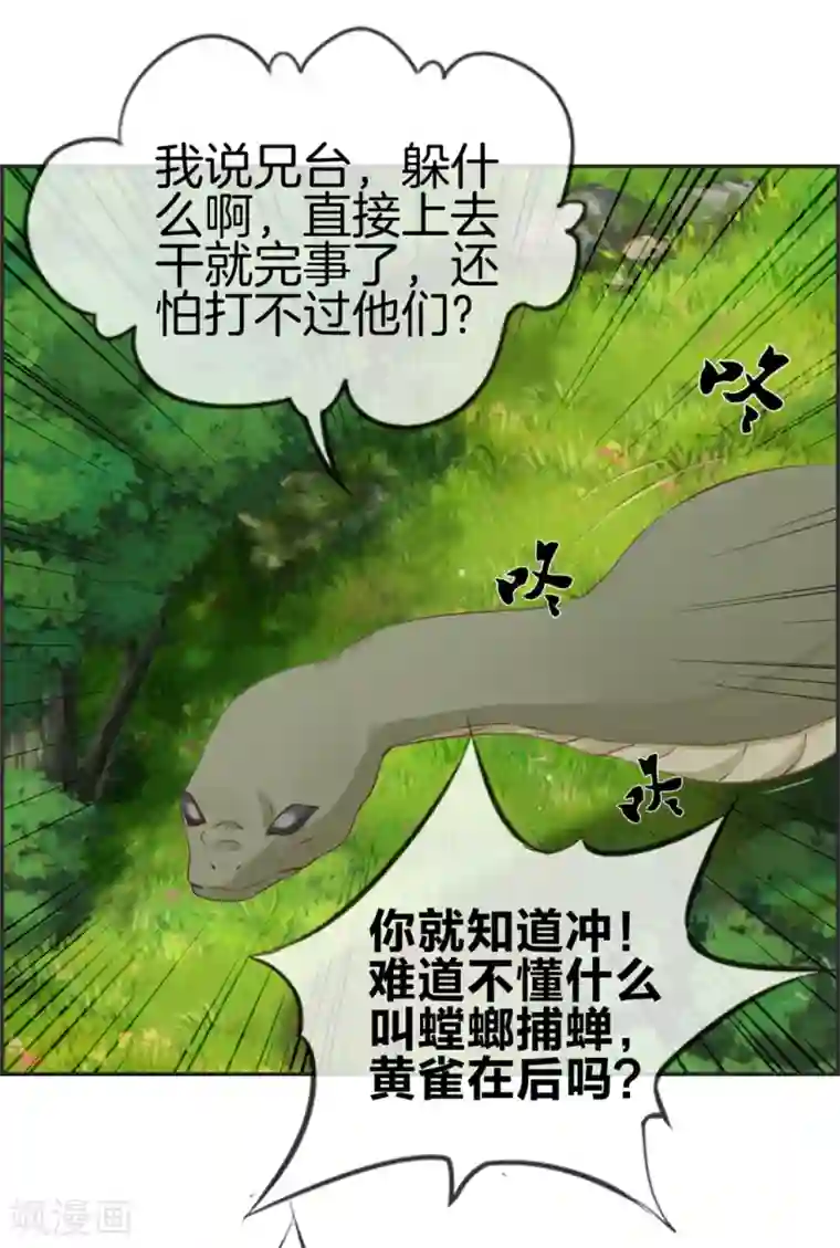 最强纨绔系统第15话 高手