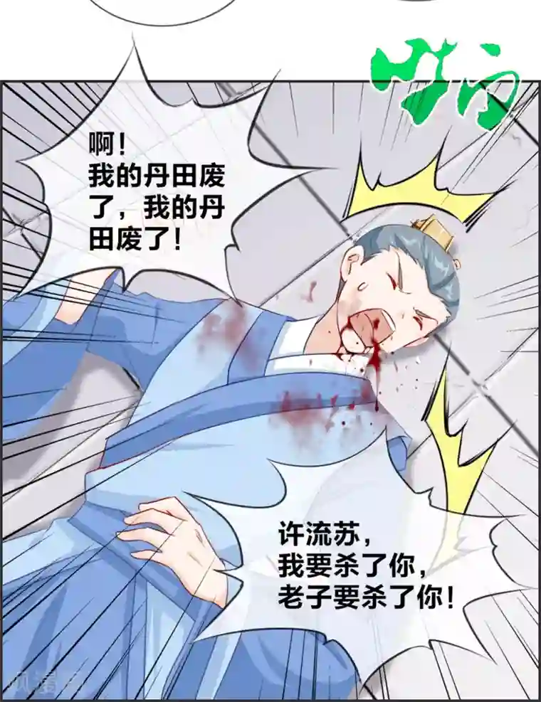 最强纨绔系统第22话 寒宗宗主之位