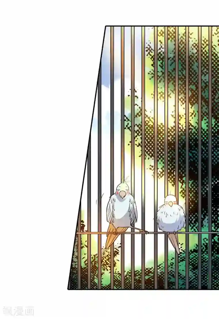 神藏第5话 这位小姐要点什么？