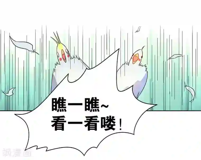 神藏第5话 这位小姐要点什么？