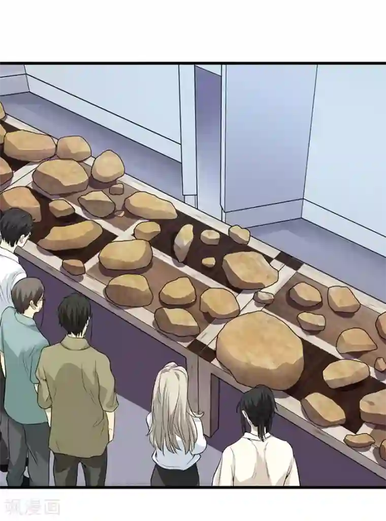 神藏第37话 价值一亿的玉石