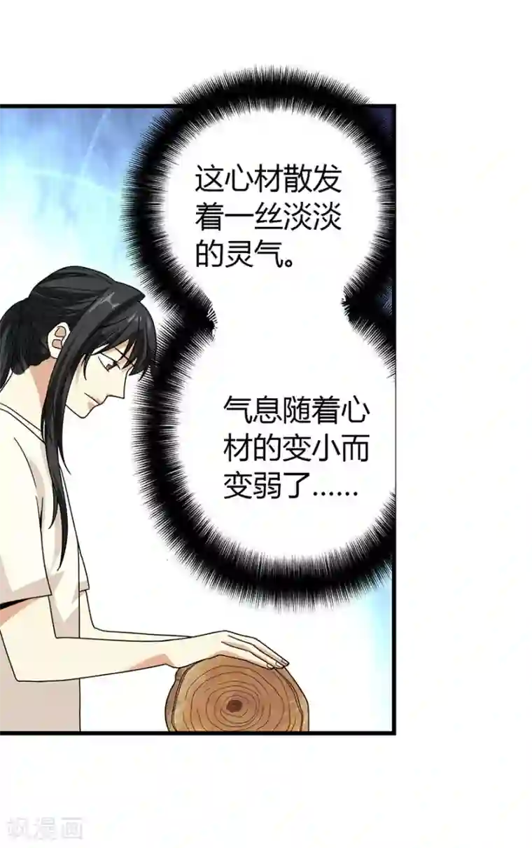 神藏第47话 赌树1