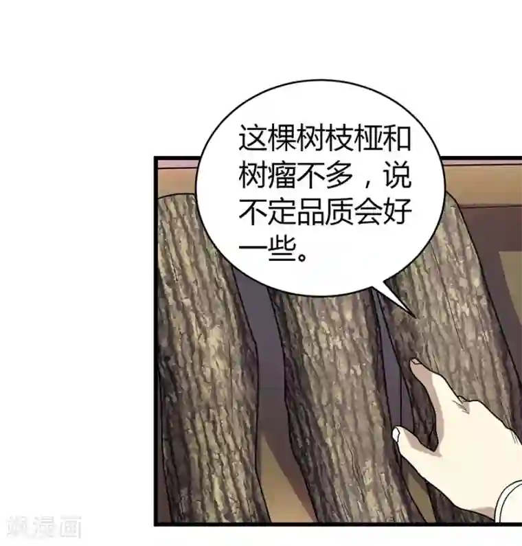 神藏第47话 赌树1