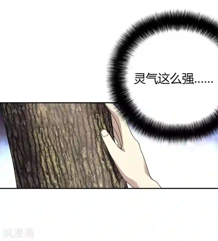 神藏第47话 赌树1