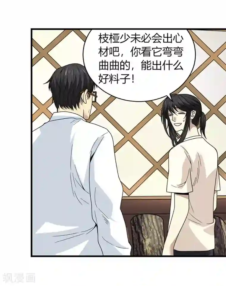 神藏第47话 赌树1