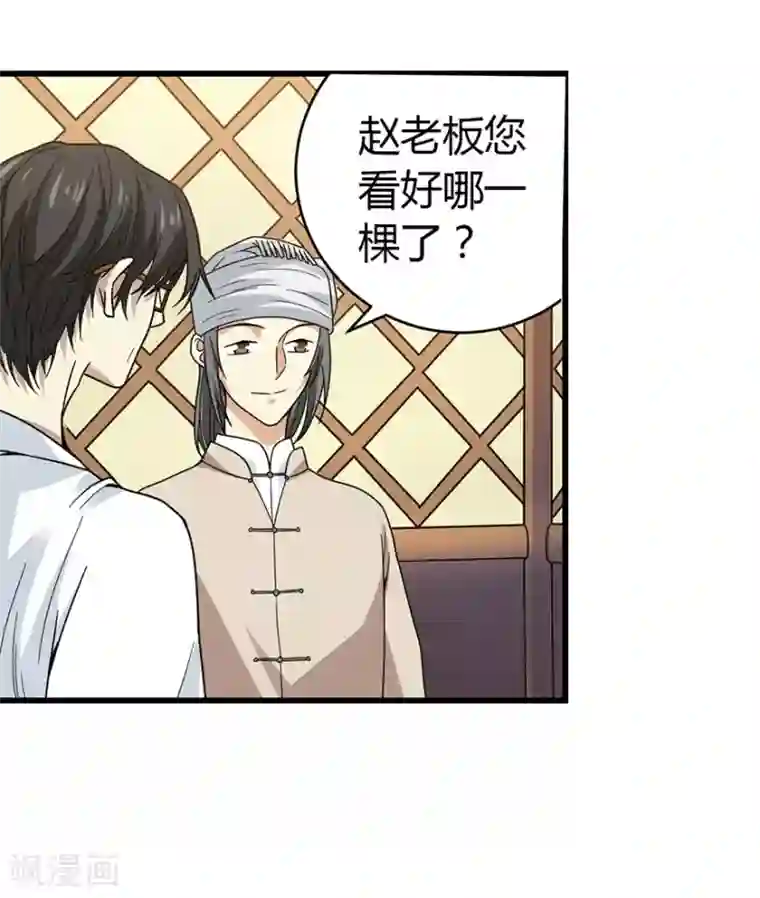 神藏第47话 赌树1