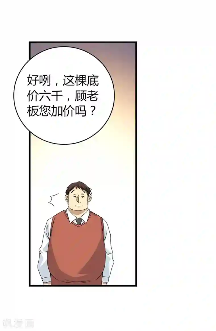 神藏第47话 赌树1