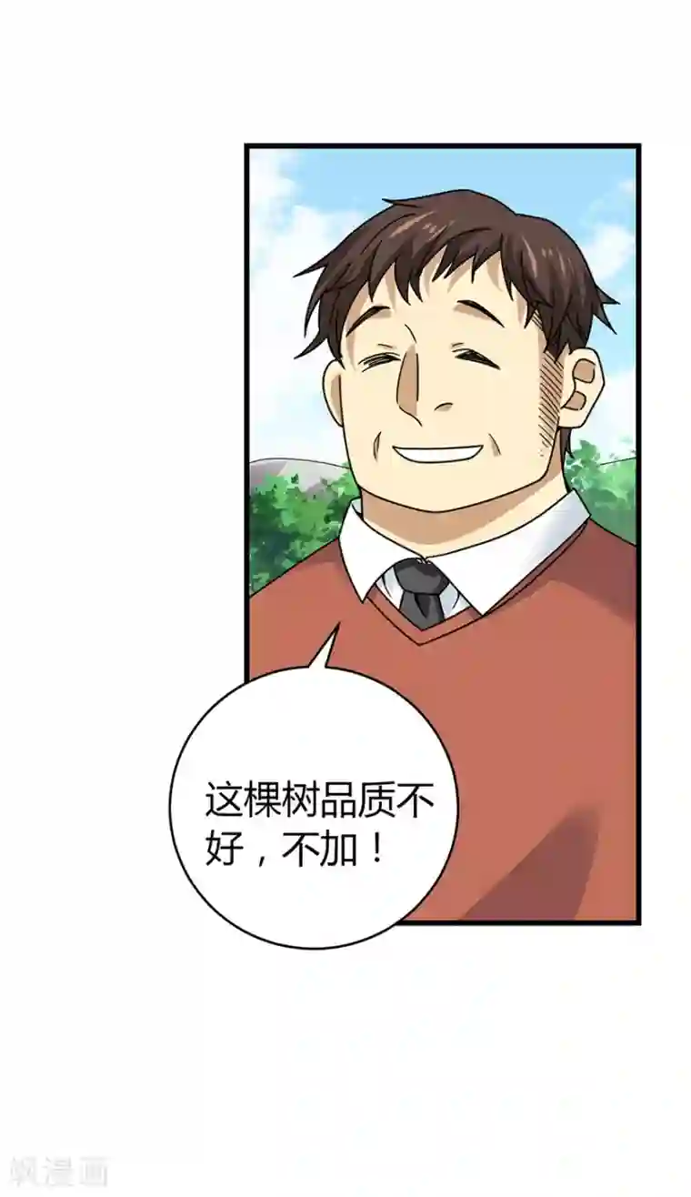 神藏第47话 赌树1