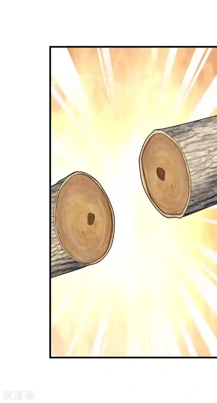 神藏第47话 赌树1