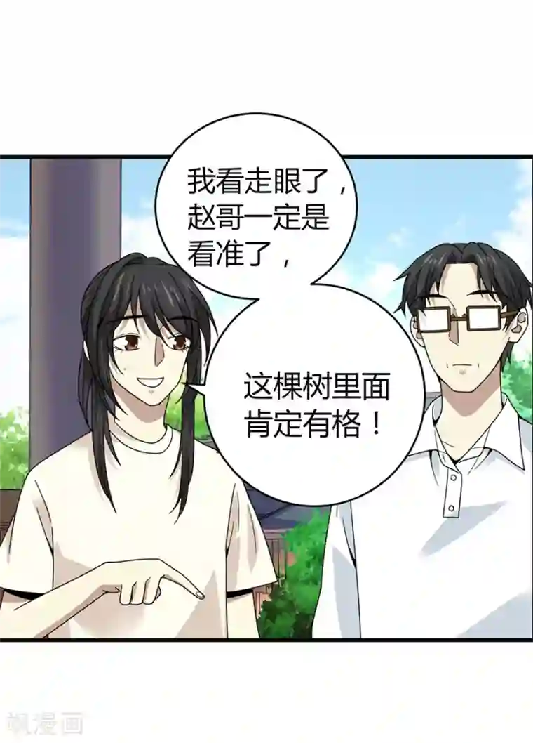 神藏第47话 赌树1