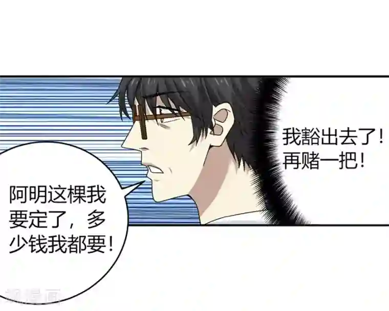 神藏第47话 赌树1