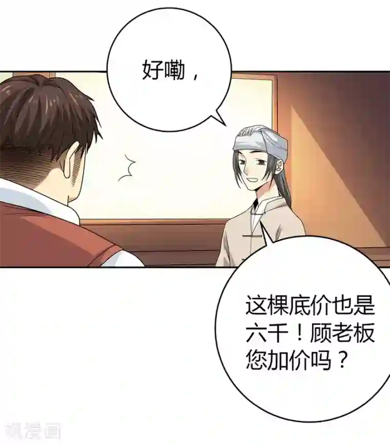 神藏第47话 赌树1